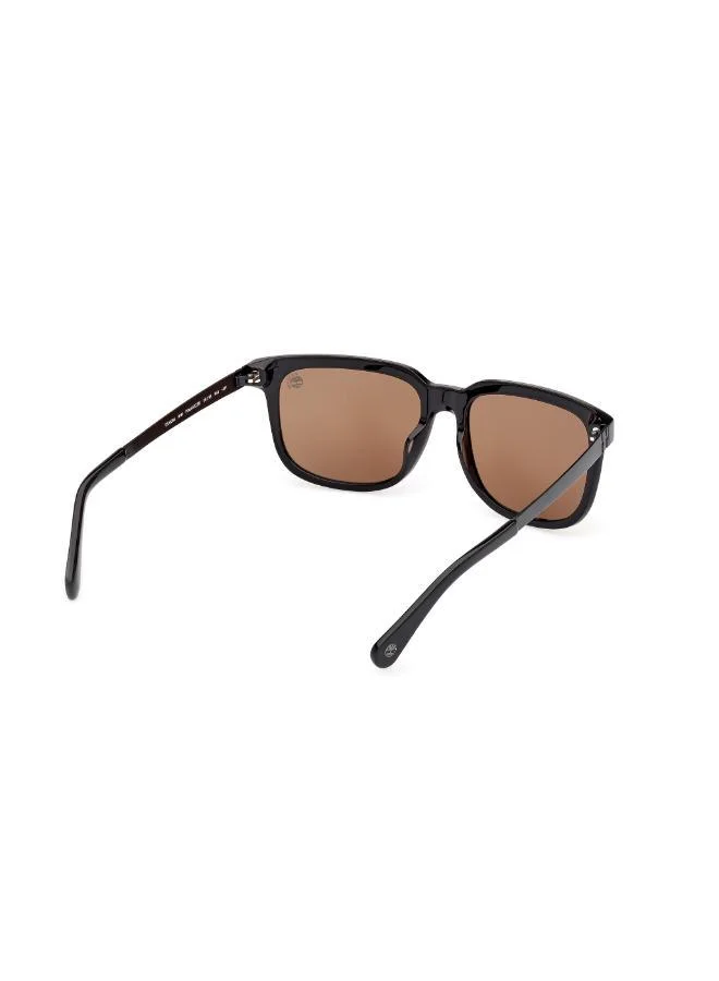 Timberland  wayfarers sunglasses for Men | Best Price UAE