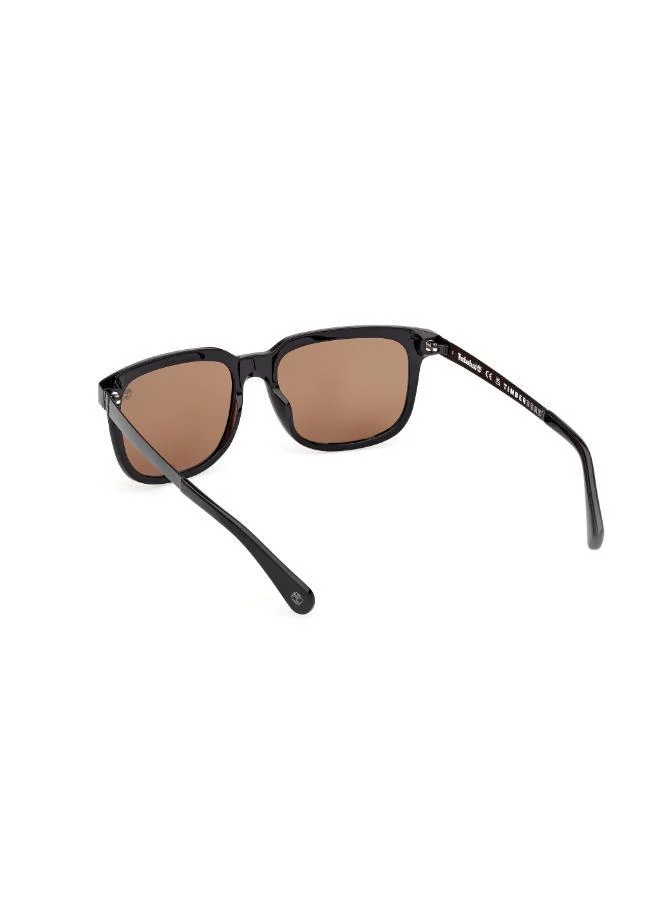 Timberland  wayfarers sunglasses for Men | Best Price UAE