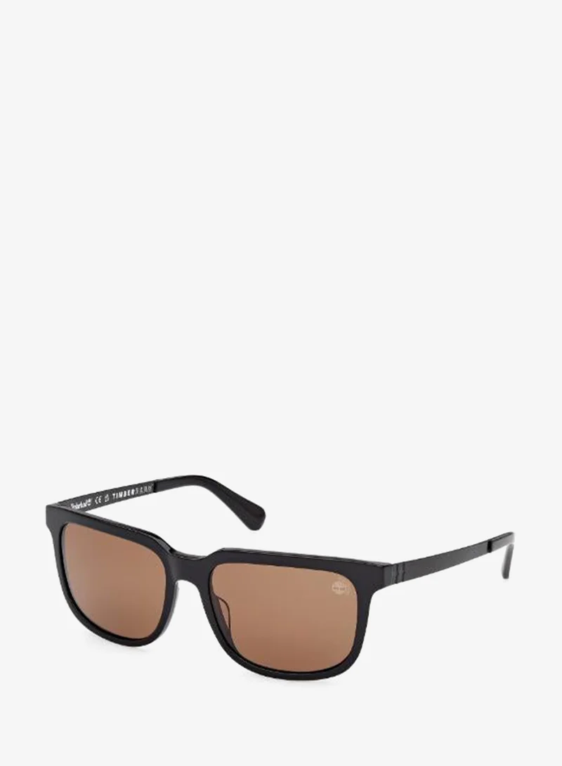 Timberland  wayfarers sunglasses for Men | Best Price UAE