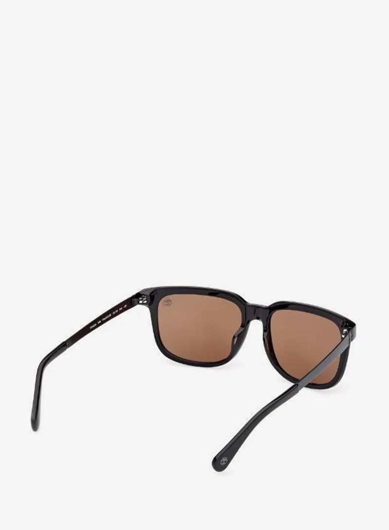 Timberland  wayfarers sunglasses for Men | Best Price UAE
