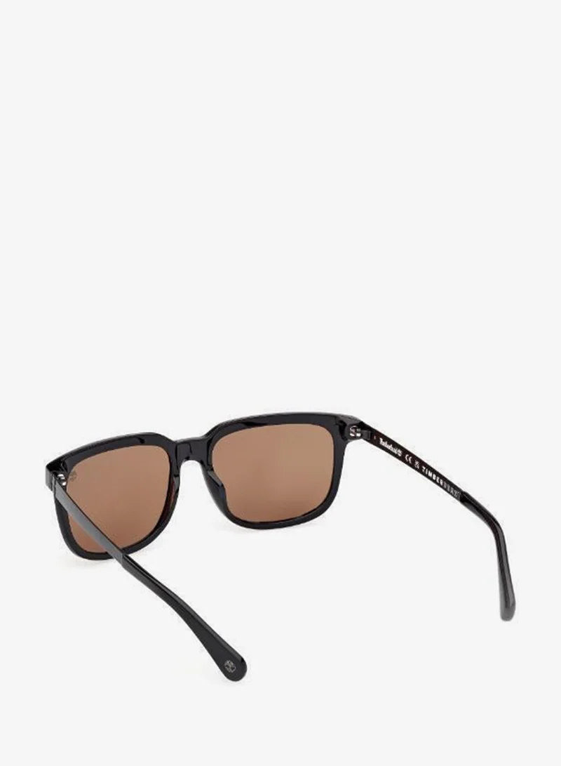 Timberland  wayfarers sunglasses for Men | Best Price UAE