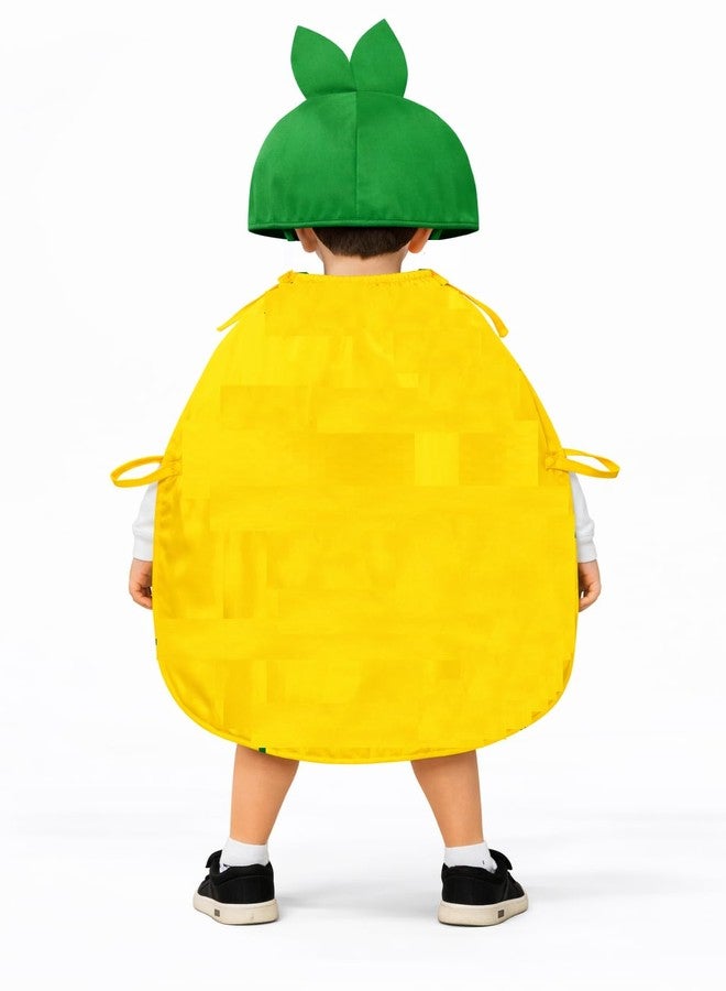 QuickBazaar Fruits & Vegetable Cutout Costume for Kids/Apple, Mango, Banana, Carrot, Brinjal, Tomato, Watermelon & More/Perfect for Fancy Dress Costume & Stage Shows (Pineapple Cutout, 3-4 Years) - Image 2