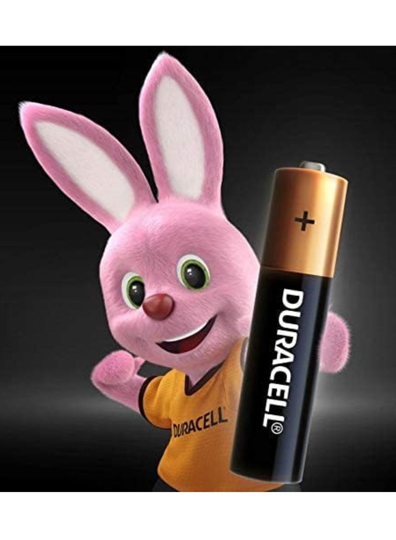 دوراسيل بطارية دوراسيل ايه ايه الكالين طقم من 12 قطعه - Image 2