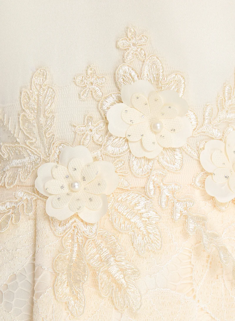 victor and jane Lace Overlay Dress