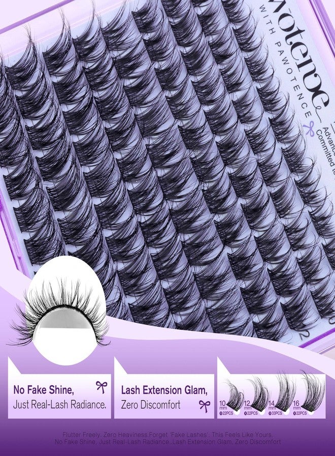Pawotence Natural Lash Clusters Wispy Eyelash Clusters 10-16mm Full Lashes Cluster Eyelash Extensions Soft Individual Cluster Lashes False Eyelashes for DIY Lash Extension - Image 5