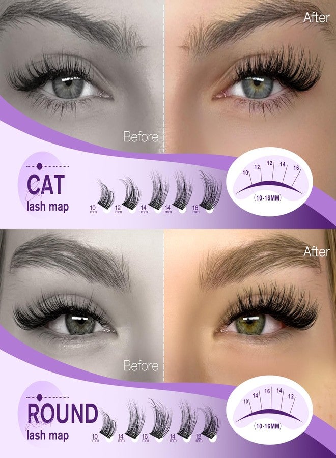 Pawotence Natural Lash Clusters Wispy Eyelash Clusters 10-16mm Full Lashes Cluster Eyelash Extensions Soft Individual Cluster Lashes False Eyelashes for DIY Lash Extension - Image 2
