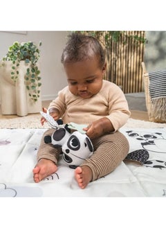 Tiny Love Tiny Love - Black And White Decor Panda Take Along Rattle Toy  - Image 3