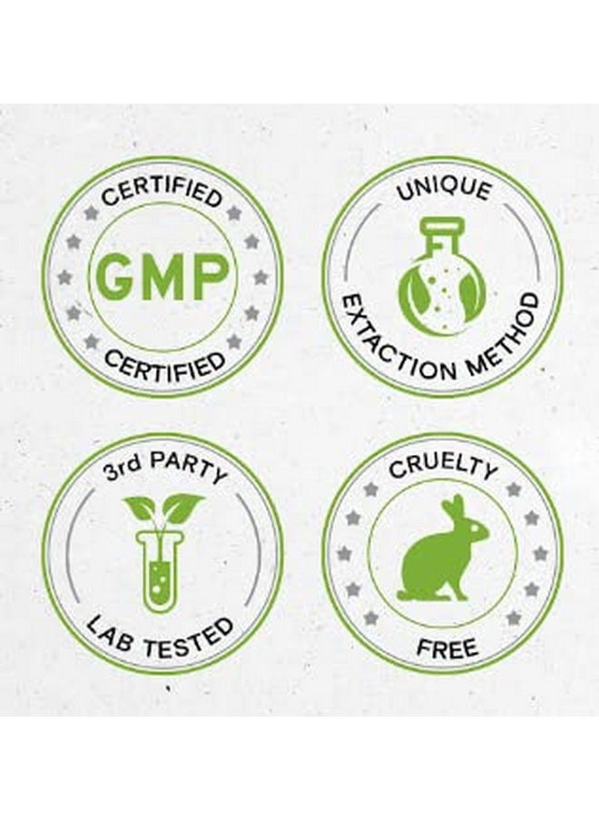 Secrets of the Tribe - Greater Celandine Alcoholfree Liquid Extract Greater Celandine (Chelidonium Majus) Tincture Supplement (2 Fl Oz) - Image 1