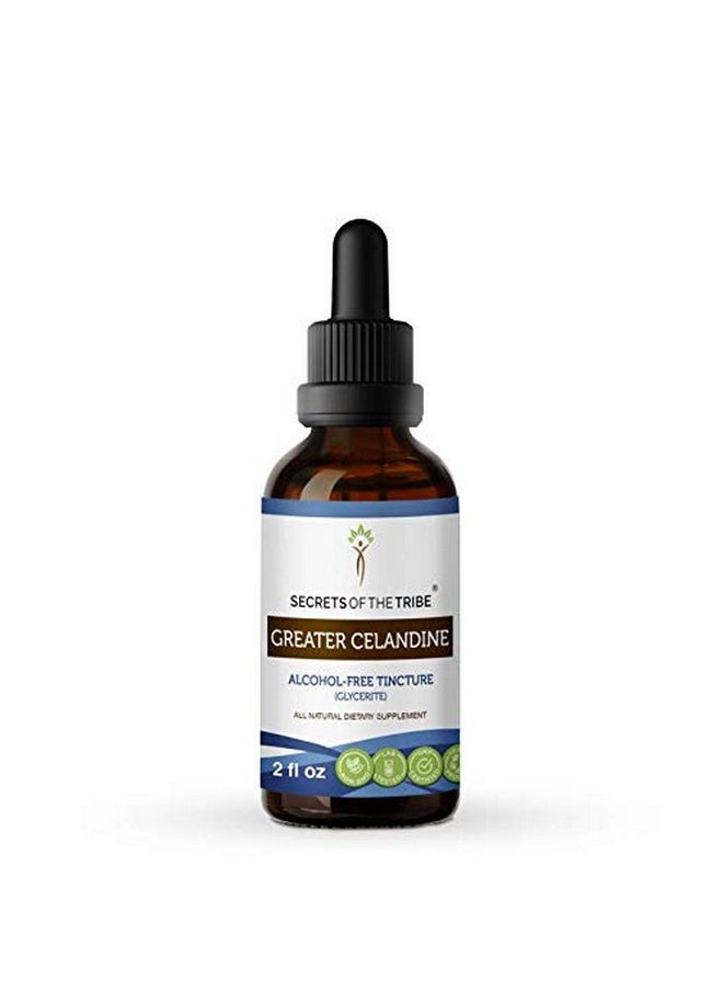 Secrets of the Tribe - Greater Celandine Alcoholfree Liquid Extract Greater Celandine (Chelidonium Majus) Tincture Supplement (2 Fl Oz) - Image 1