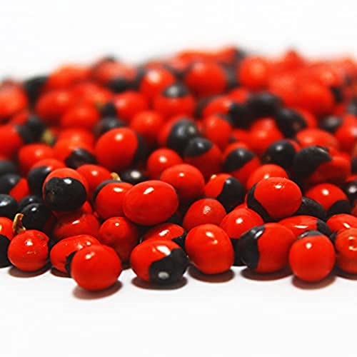 RUKDA Red Gunja Beads - 11 Pcs (Oval, Natural, 5E+1 grams) - Image 2