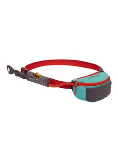 Ruffwear, Hitch Hiker Dog Leash, Adjustable Leash & Hitching System for Camping & Hiking, Aurora Teal - pzsku/ZE7987CAA4C9FE388F270Z/45/_/1737031643/10eee959-7e17-4ba1-a032-c2134211fa6a