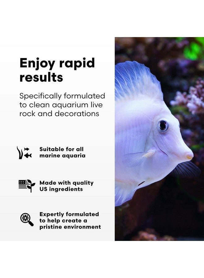 Brightwell Aquatics Microbacter Clean - Microbial Culture & Enzyme Blend Fish Tank Cleaner - Cleans Live Rock Surfaces For Saltwater Fish Habitats - Aquarium Water Treatments, 8.45 Fl Oz - Image 1