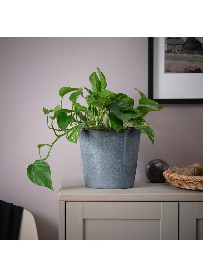 زبون وعاء نباتات، داخلي/خارجي/أزرق، 19 سم - Image 4