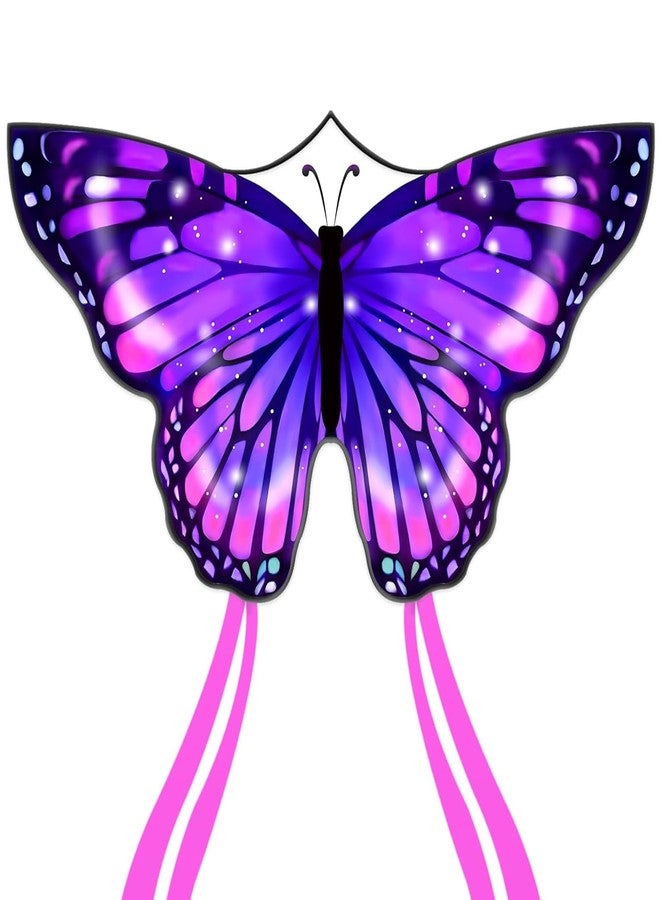 Flying Hoofer Large Butterfly Kite for Adults and Kids Ages 4-8 & 8-12 Easy to Fly, 55''X28'' Single Line Kite for Outdoor, Park or Beach.(Purple) - Image 1
