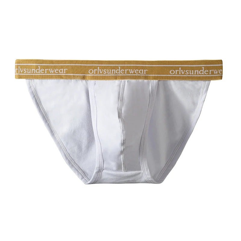 ORLVS Men's Winter Underwear, Low-Waist Cotton Briefs, Breathable & Stretchy