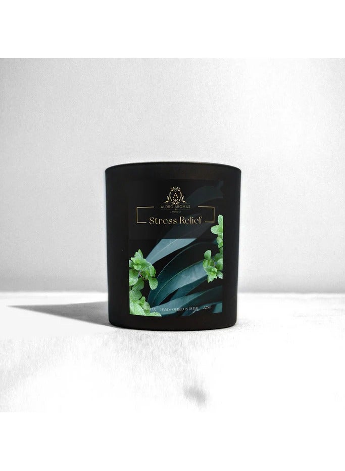 Aldro Aromas Scented Candel in Jar Long Lasting Fragrance-Stress relief 225 Grams - Image 1