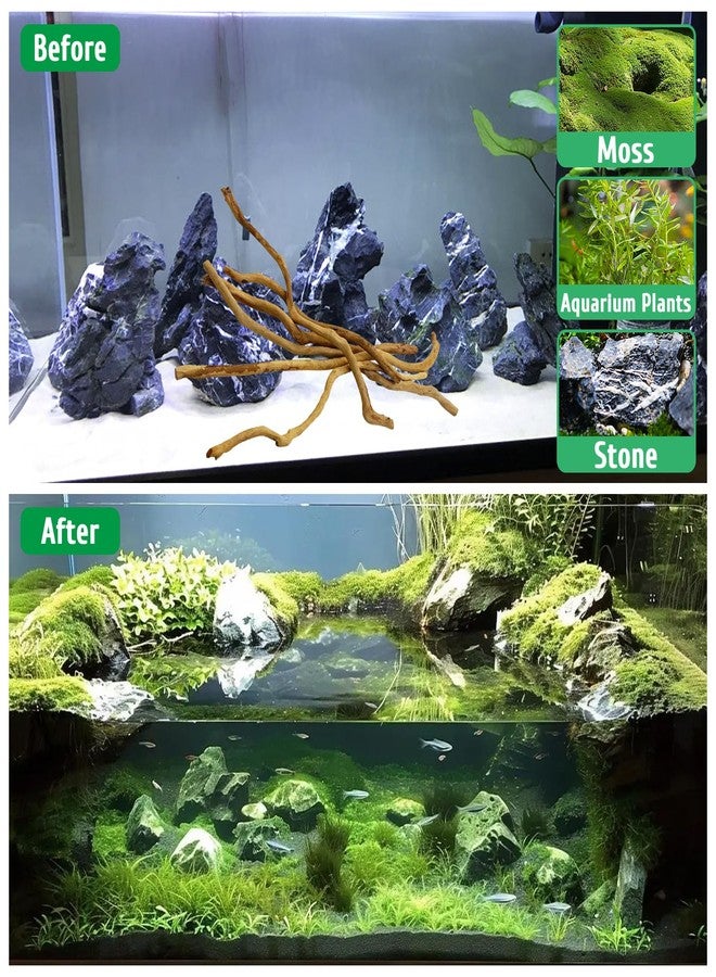 kathson Natural Driftwood for Aquarium, Red Moor Driftwood Mix 12''-16'' Long Driftwood for Decorations Aquarium Driftwood Assorted Shapes Natural Aquarium Decor Driftwood (150g, Delicate Branches) - Image 5