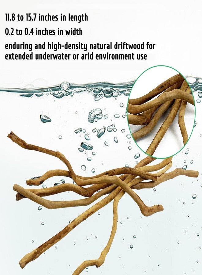 kathson Natural Driftwood for Aquarium, Red Moor Driftwood Mix 12''-16'' Long Driftwood for Decorations Aquarium Driftwood Assorted Shapes Natural Aquarium Decor Driftwood (150g, Delicate Branches) - Image 4