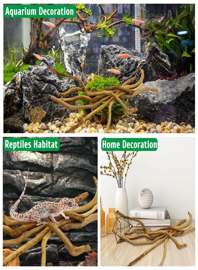 kathson Natural Driftwood for Aquarium, Red Moor Driftwood Mix 12''-16'' Long Driftwood for Decorations Aquarium Driftwood Assorted Shapes Natural Aquarium Decor Driftwood (150g, Delicate Branches) - Image 3