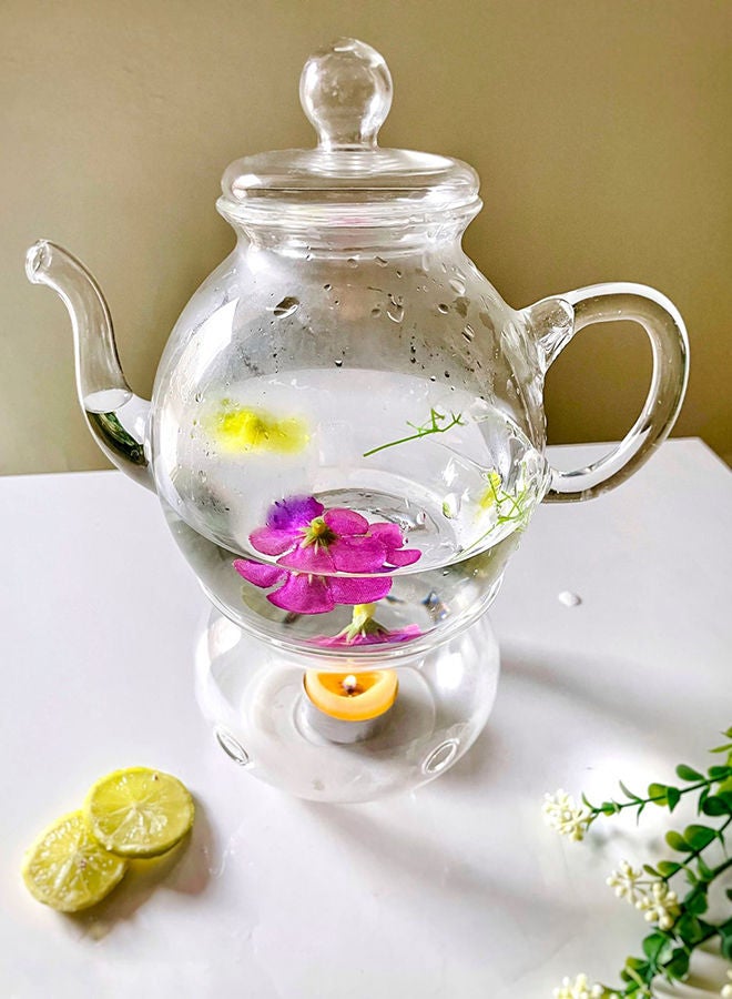 Home Pro Glass Teapot - Image 2