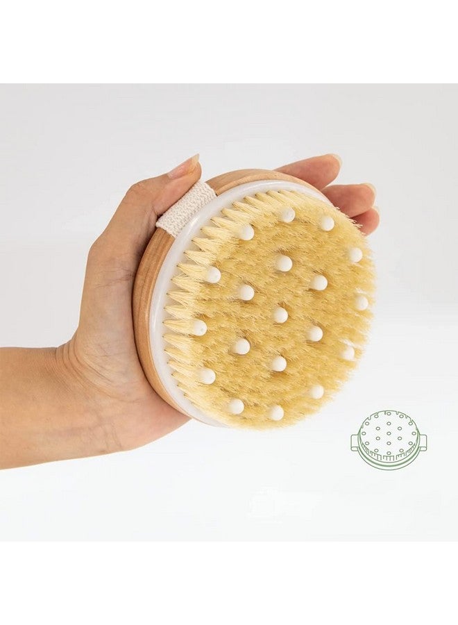 Boan 2 Piece Shower Brush Setnatural Wooden Massage Brush For Dry Skin Lymphatic Drainage And Cellulite Care Body Brush For Exfoliating Body Scrubber And Cellulite Treatment - Image 3
