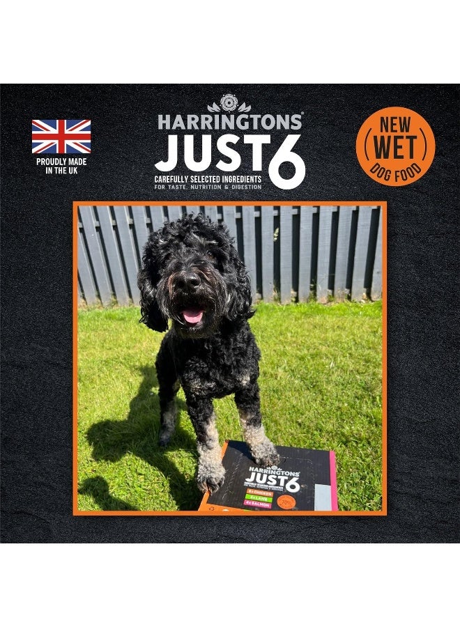 Harringtons Just 6 Chicken Grain Free Wet Dog Food - Image 4
