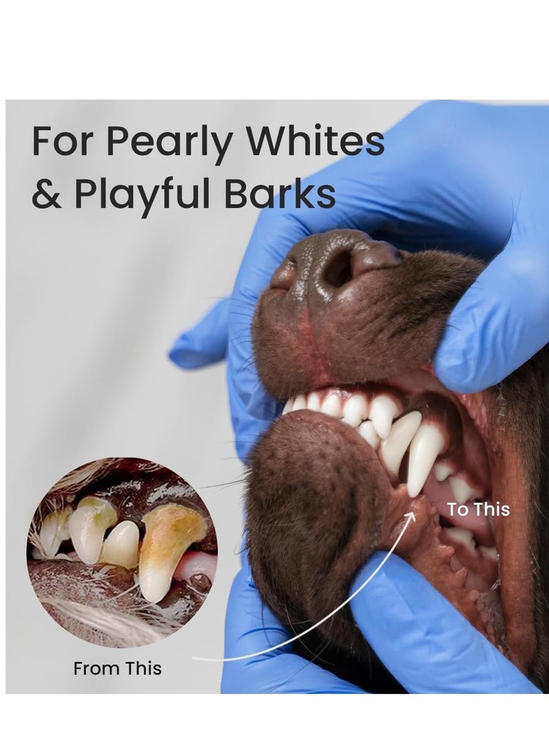 Bioline 2Pc Tooth Paste Beef Flavor For Dogs 100g - Image 3