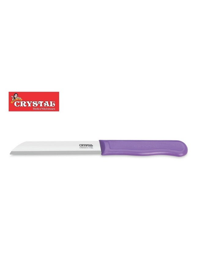 Crystal - CL010 Sleek Serrated Edge Stainless Steel Knife, Multicolour - pzsku/ZE7A226539290DE8F0E9FZ/45/_/1740118307/2a49de2d-0ea3-471e-ae04-48d14517ad11