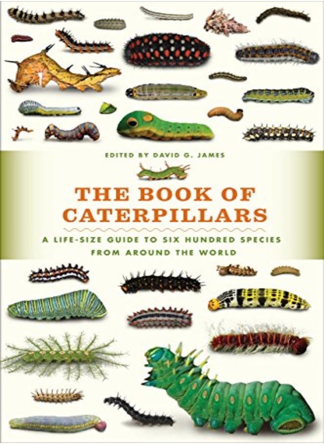 The Book Of Caterpillars A Lifesize Guide To Six Hundred Species From Around The World by James, David G Hardcover 