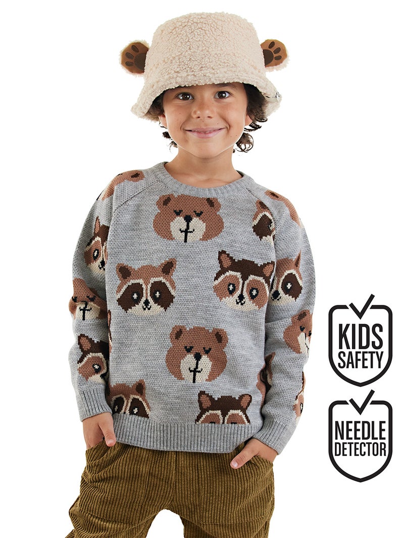 Denokids Bear&Raccoon Boy Knit Jumper - Image 1