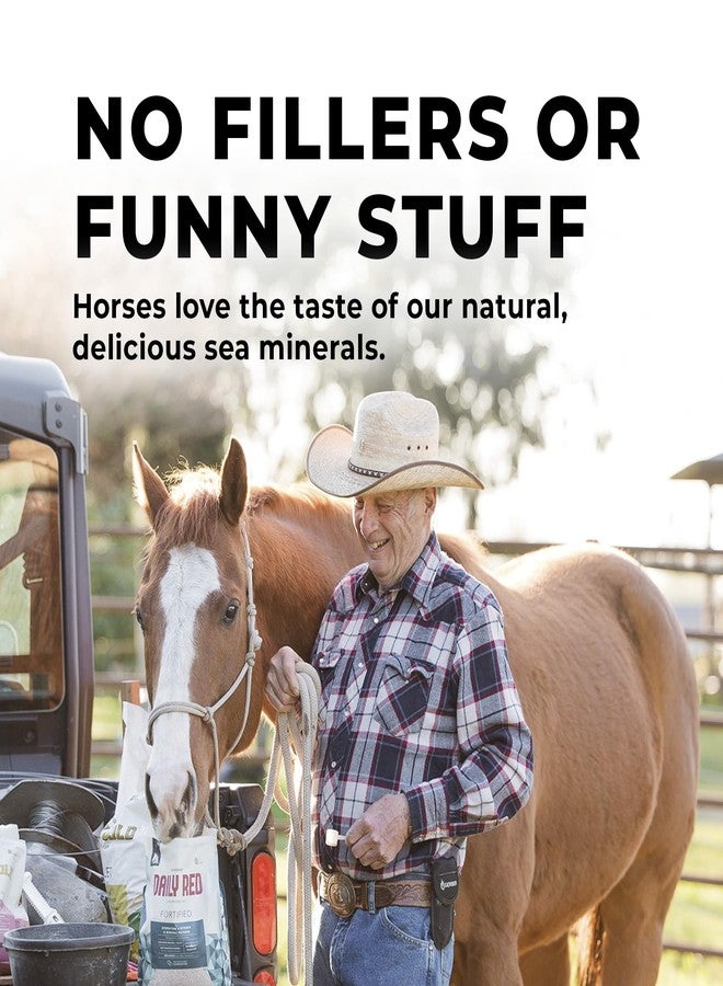 Redmond Daily Red Complete Wellness, Fortified Mineral Mix Supplement for Horses (5 LB) - Image 5