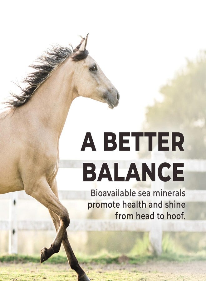 Redmond Daily Red Complete Wellness, Fortified Mineral Mix Supplement for Horses (5 LB) - Image 4