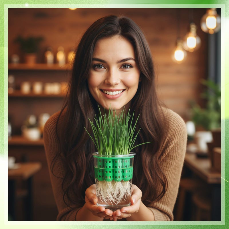 Ferrochef 2 Pack Green Onion Planter Scallion Grower Seed Sprouting Kit Compatible with Regular Mouth Mason Jar for Windowsill Garden, Hydroponics, and Propagation Hydroponics Enthusiasts (Green) - Image 5