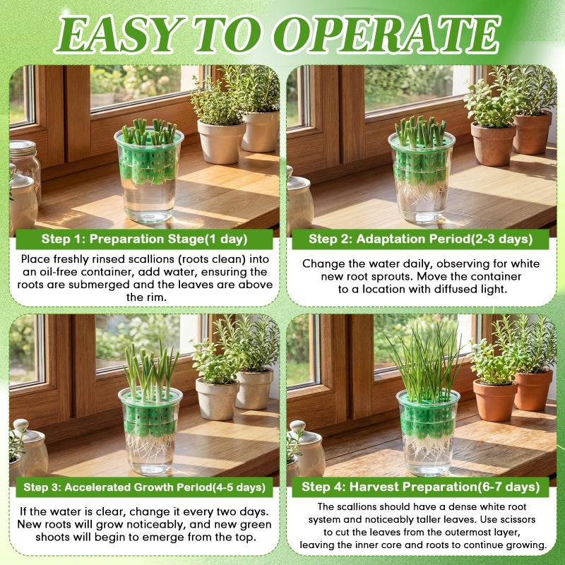 Ferrochef 2 Pack Green Onion Planter Scallion Grower Seed Sprouting Kit Compatible with Regular Mouth Mason Jar for Windowsill Garden, Hydroponics, and Propagation Hydroponics Enthusiasts (Green) - Image 3