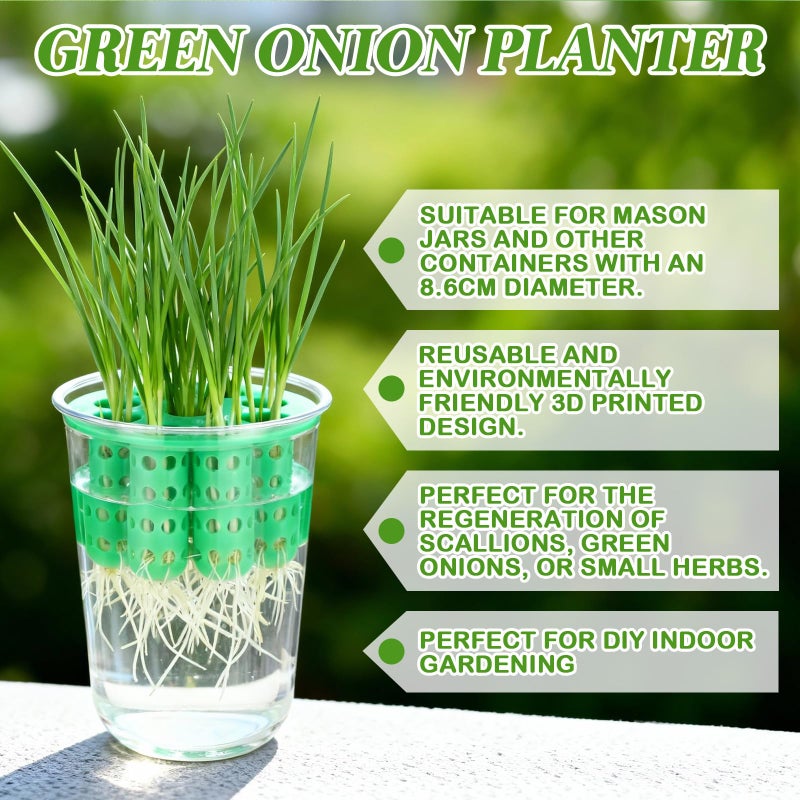 Ferrochef 2 Pack Green Onion Planter Scallion Grower Seed Sprouting Kit Compatible with Regular Mouth Mason Jar for Windowsill Garden, Hydroponics, and Propagation Hydroponics Enthusiasts (Green) - Image 4