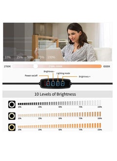 Generic Video Conference Lighting Kit 6.3" LED Ring Light for Laptop 3 Dimmable Zoom Call Lighting 6500k Remote Working Self Broadcasting Live Streaming Online Teaching Vlogging, Makeup  - Image 2