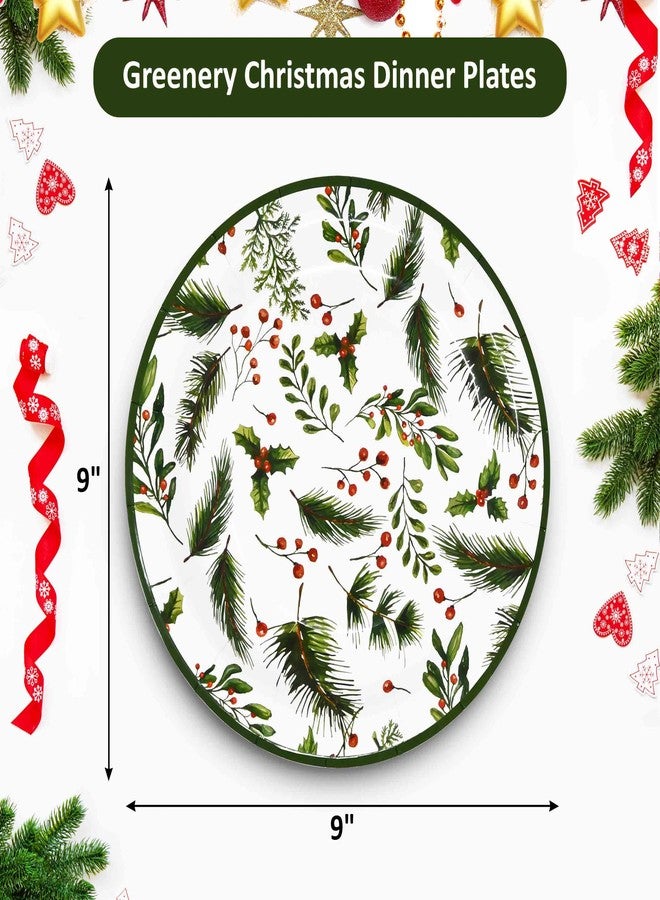 جيفت بوتيك مجموعة هدايا بوتيك، ٥٠ طبق عشاء عيد الميلاد بنقشة خضراء، مقاس ٩ بوصات، أطباق ورقية للاستخدام مرة واحدة، تصميمات لطيفة لعيد الميلاد الشتوي باللون الأخضر والأحمر والتوت والصنوبر، مناسبة للمنزل، أدوات مائدة البوفيه، لوازم الحفلات، الزينة - Image 2