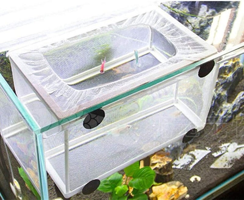 COMOK Fish Hatchery Breeder Box Aquarium Separation Net Nylon Incubator Mesh Fish Breeding Tanks Isolation Box White Rectangle - Image 4