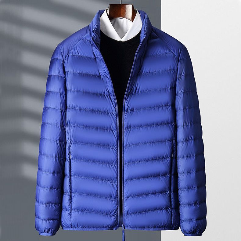 Light silk cotton cotton coat mens 2022 autumn and winter new plus size stand collar hooded short cotton-padded jacket coat F88 sapphire collar