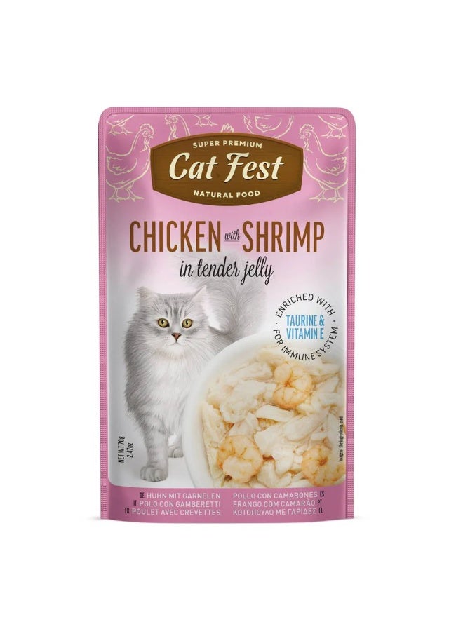 Cat Fest  - Tender Jelly For Cats 70g