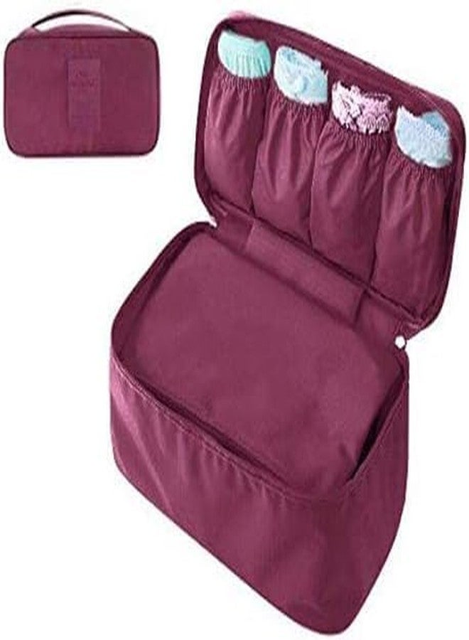 Tachobi Bag Innerwear Personal Garment Bag Case Undergarments Organiser for Women Men Travel Pouch Kit, Girls Innerwear Clothes Travelling Case for Luggage Storage Box for Close (Multi Colour) - Image 1