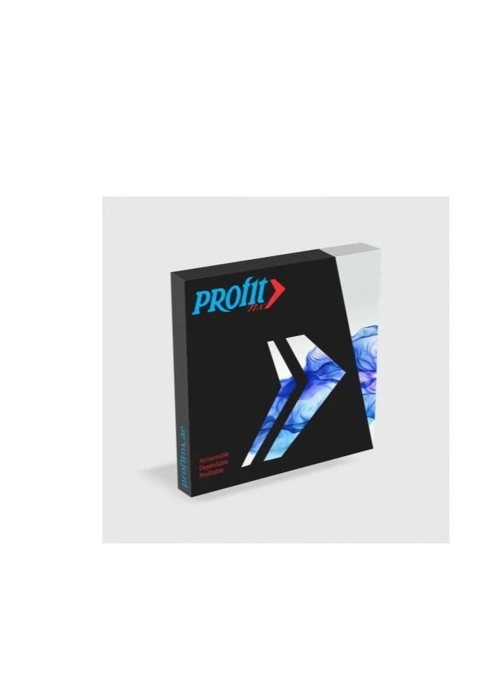 Generic ProfitNX Accounting Software Single  User  (VAT Compliant) With Lifetime Activation Key I Digital Download I True Windows Based Sotware |Multiple Tabs opening  | Fully Customizable Invoice and Reports  - Image 2