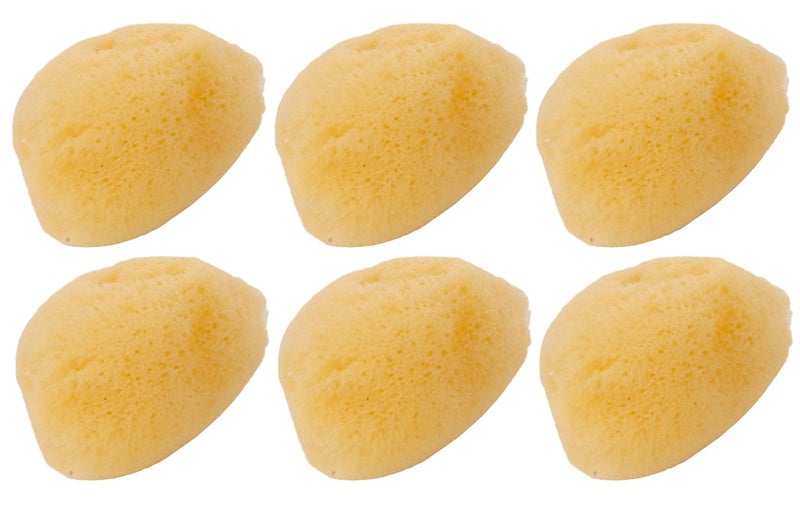 Zoo Med 6 Pack of Hermit Crab Sea Sponges
