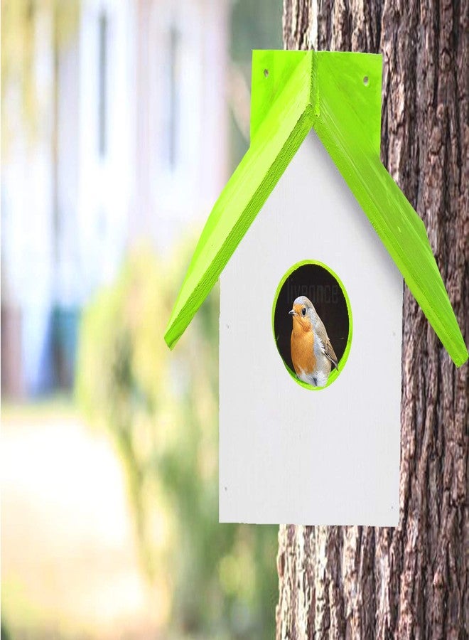 LIVEONCE Wood Bird House with Inside Coir Bed Pack of -1 Color -Green - Image 5