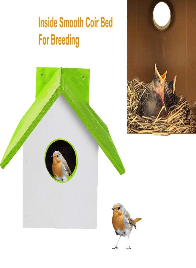 LIVEONCE Wood Bird House with Inside Coir Bed Pack of -1 Color -Green - Image 2