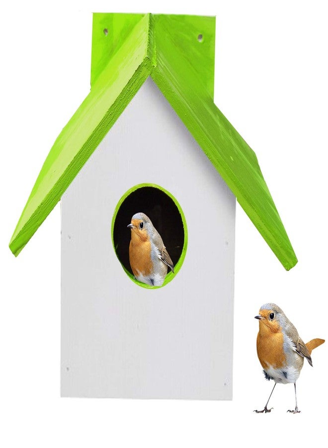 LIVEONCE Wood Bird House with Inside Coir Bed Pack of -1 Color -Green - Image 1