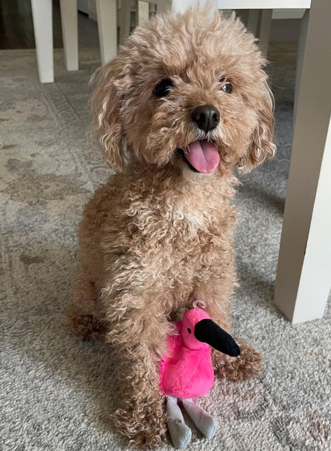 Glory To Dog لعبة فلامنجو قطيفة صغيرة من Glory To Dog TinyToy، لعبة كلب وجرو صغير. - Image 4