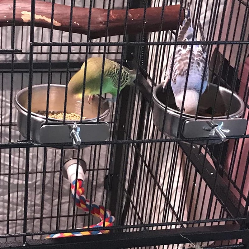 kathson 4 Pcs Stainless Steel Bird Feeding Bowl,Parrot Feeder Dish Cups Birds Cage Water Food Bowls Coop Cup with Clamp Holder for Parrots Cockatiel Budgies Parakeet Lovebird(L) - Image 5