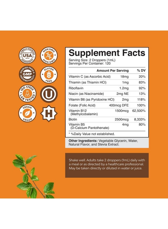 Natures Craft Vegan Vitamin B Complex Liquid - 9-in-1 Liquid B Complex Vitamins for Women & Men with B1 B2 B3 B5 B6 B7 Folate Methyl B12 Plus Vitamin C - Super Concentrated Non GMO & Naturally Flavored (120svg) - Image 2