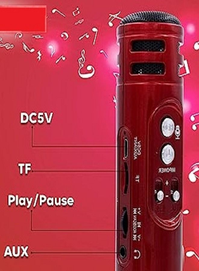 WSTER Pick Ur Needs Superior Quality Karaoke Mic Wireless Bluetooth Microphone Connection Player Speaker 2-in1 With Recording + USB+FM - Image 2